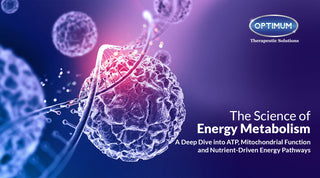 The Science of Energy Metabolism: A Deep Dive into ATP, Mitochondrial Function, and Nutrient-Driven Energy Pathways 